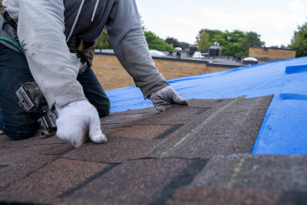 Best Roof Leak Repair  in Elk Creek, KY