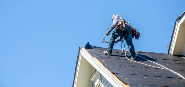 Best Roof Gutter Cleaning  in Elk Creek, KY
